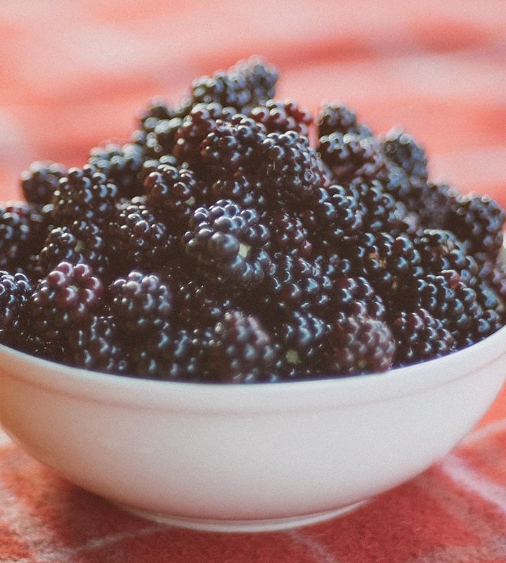 Hepatitis A outbreak linked to berries sold at natural food stores – SlashGear