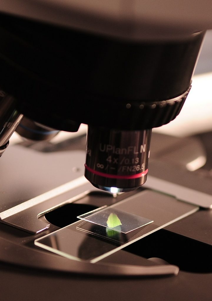 How to Avoid Food Based Carcinogens and Eat Plant-Based Foods with Cancer-Fighting Properties – One Green Planet