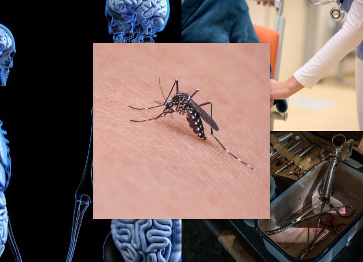 Include yoga, naturopathy in National Commission for Indian System of Medicine Bill: Par panel – Devdiscourse