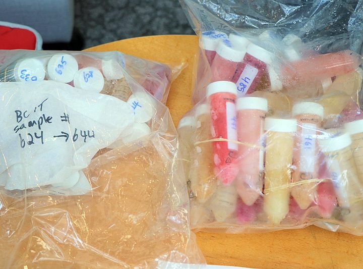 Is your kombucha really non-alcoholic? – PrinceGeorgeMatters.com