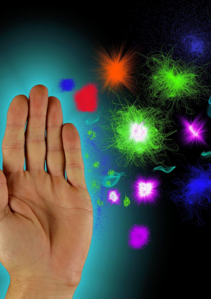 Plant-Based Immune System Boosters to Keep You Healthy During the Holidays – One Green Planet