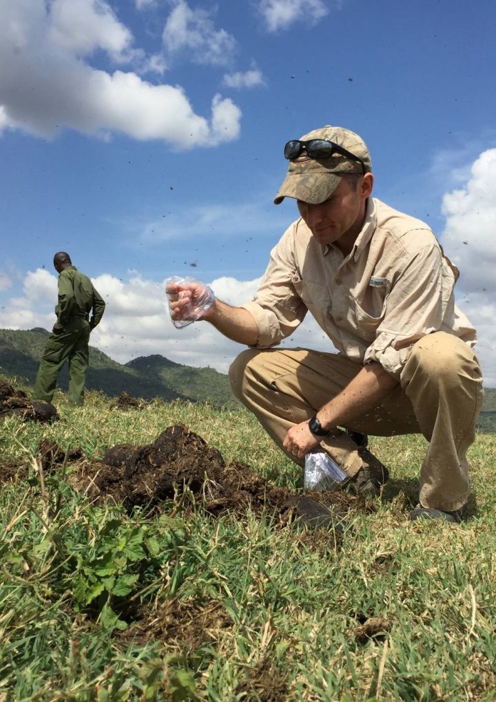 Study of African animals illuminates links between environment, diet and gut microbiome – Princeton University