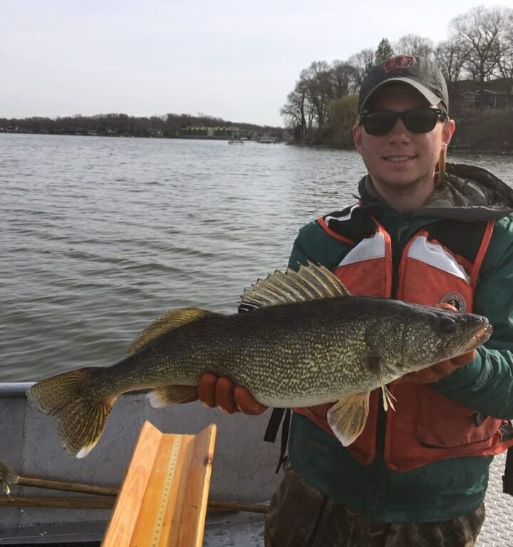 Study says “hidden overharvest” from fishing plays a role in Wisconsin walleye declines – University of Wisconsin-Madison