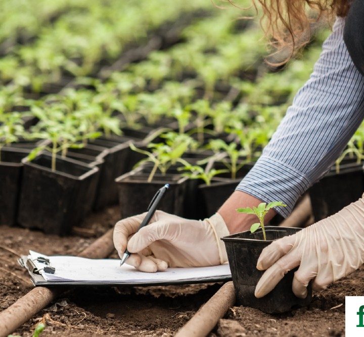 15 Organizations Creating Healthier Soil to Save the Planet – Food Tank
