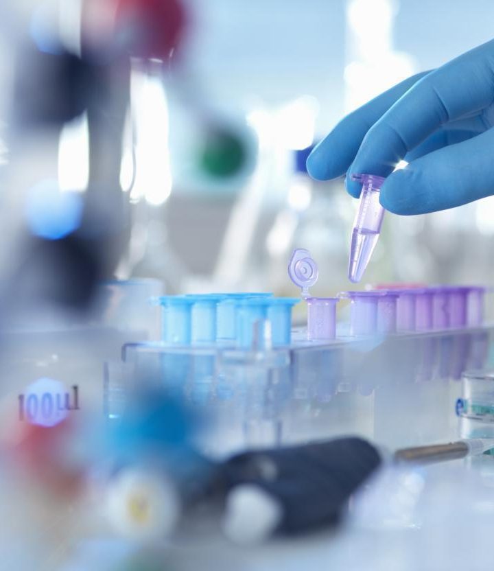 2019 in medical research: What were the top findings? – Medical News Today