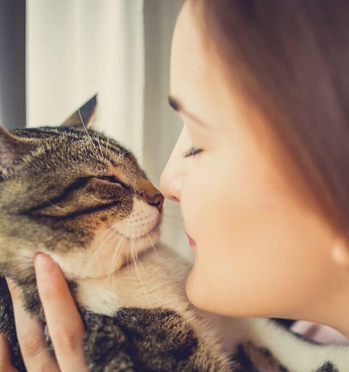 Are You a Natural Cat Whisperer? – PsychCentral.com