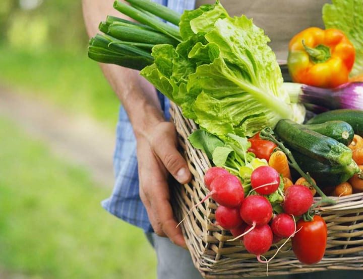 As Food Waste Adds Up, Ideas to Reduce Costs and Maximize Value – The Great Courses Daily News