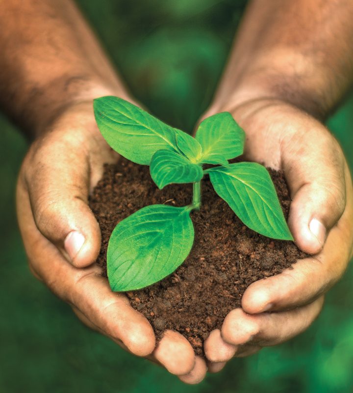 Consumer expectations moving beyond the label | 2019-12-10 – Food Business News