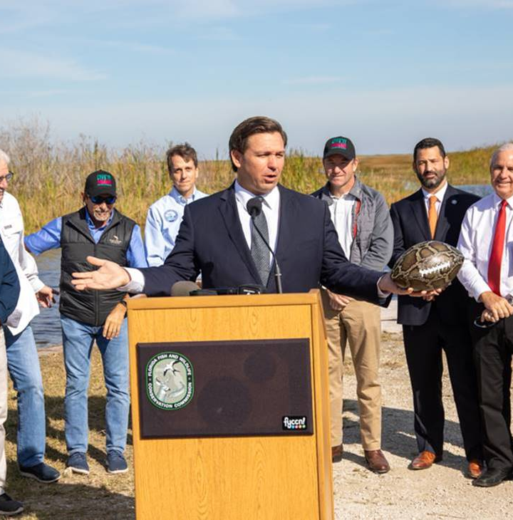Gov. DeSantis announces Python Challenge to help remove invasive species – Wink News