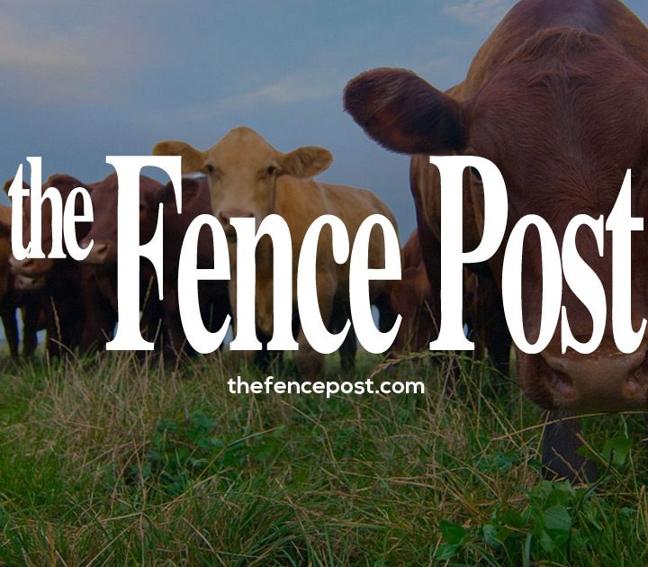 New veterinary medicine research projects take on foot-and-mouth disease and ASF – Fence Post