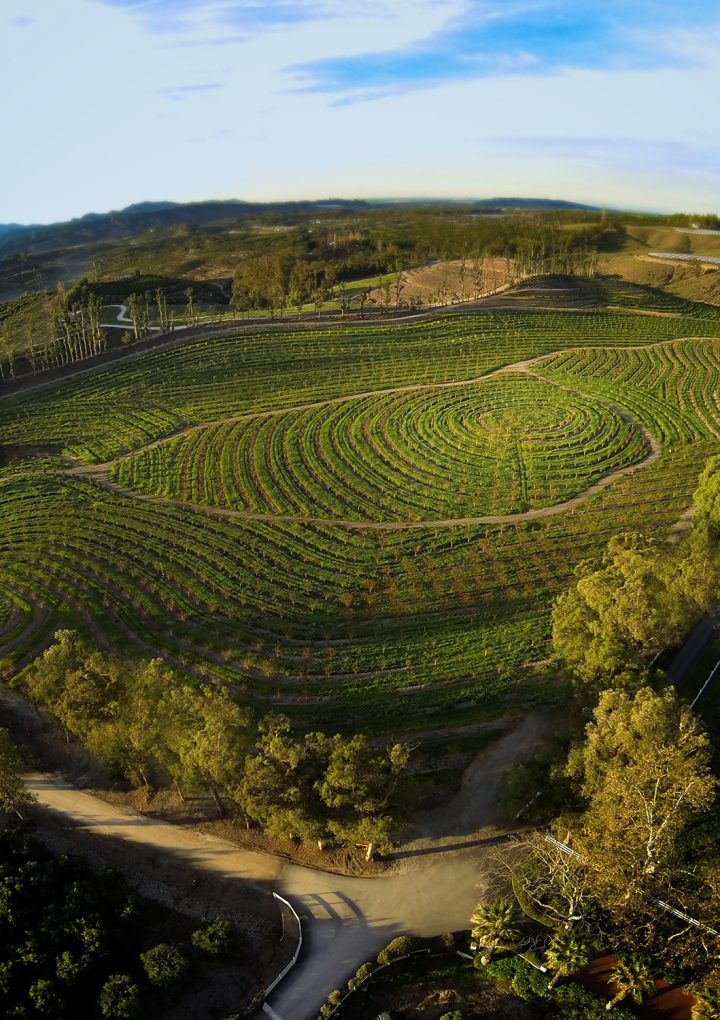12 Food and Health Documentaries to Watch in 2020 – One Green PlanetOne Green Planet – One Green Planet