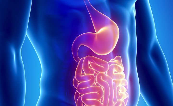Bile acids help norovirus sneak into cells – Baylor College of Medicine News
