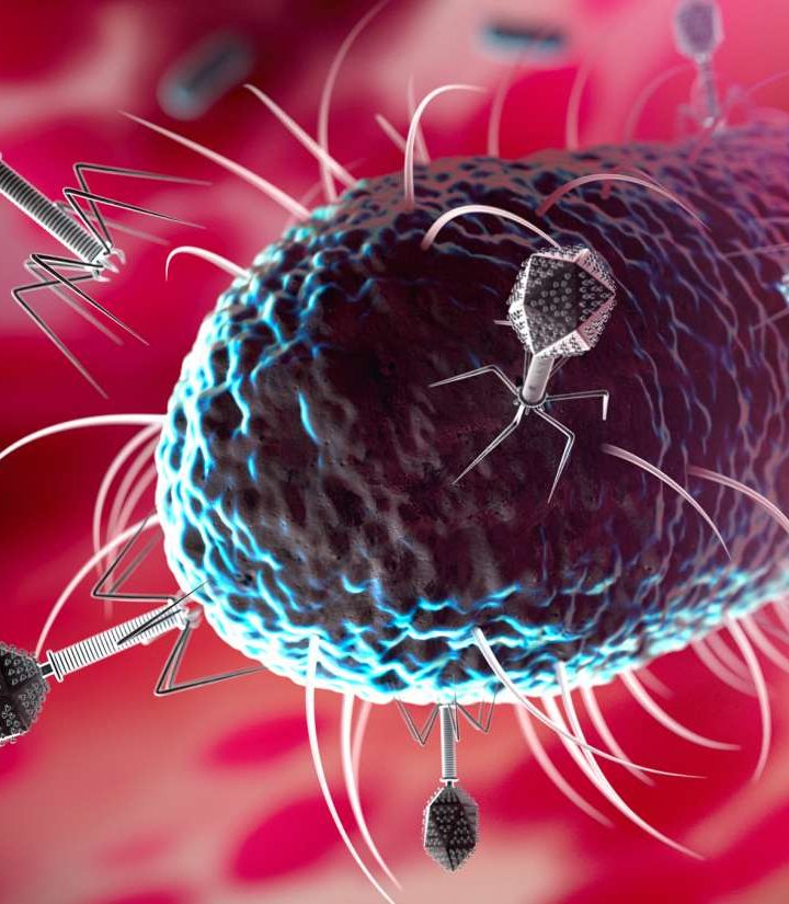 Common foods alter gut bacteria by influencing viruses – Medical News Today