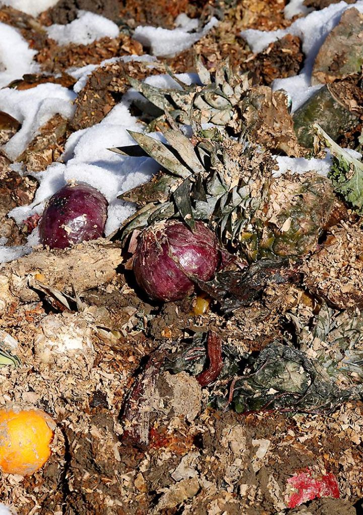 Grocery stores make reducing food waste a priority in Durango – The Journal