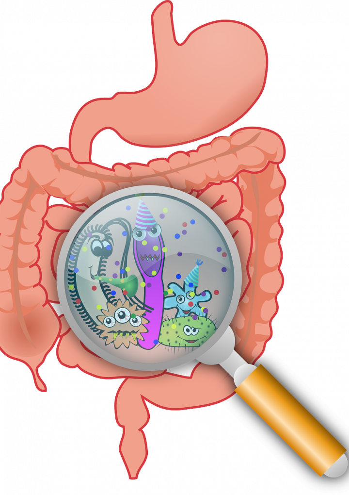 How an Anti-Inflammatory Plant-Based Diet Can Boost Your Gut Microbiome – One Green Planet