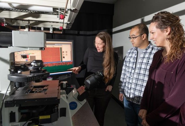 STAMI-SMI Professor Curtis’s Lab Grows Natural Polymer Brushes from Surfaces Enzymatically – Georgia Tech News Center