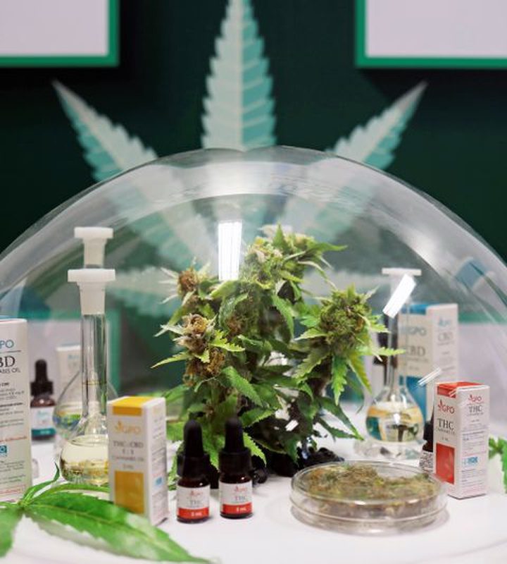Thailand rolls out cannabis clinic based on traditional medicine – KFGO News