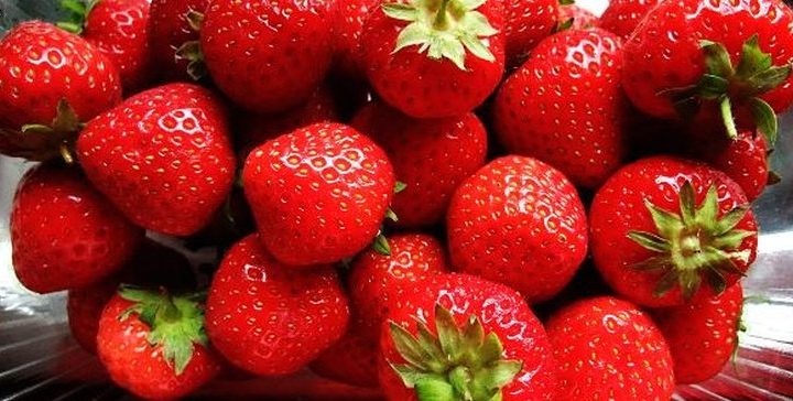 USDA creates new strawberry with a longer shelf life – Food Dive