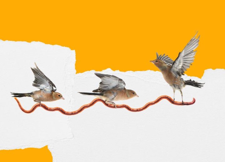 What if Competition Isn’t As “Natural” As We Think? – Slate