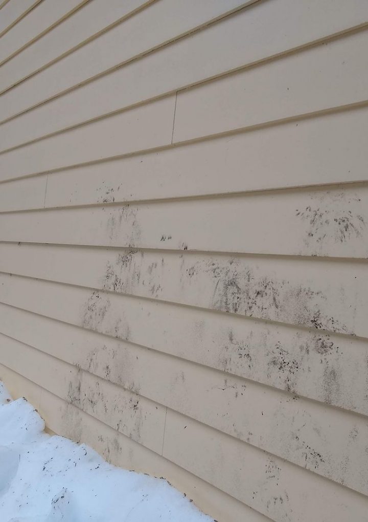 How to remove mold from vinyl siding – Washington Post