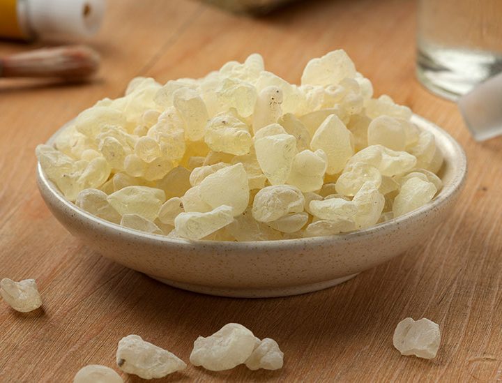 Mastic gum: Uses, benefits, side effects, and more – Medical News Today