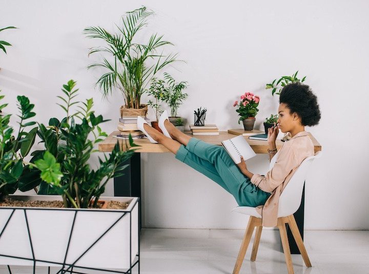 Stressed and anxious? Green up your home and office – RiverheadLOCAL