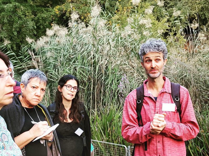 The pharmacy in your backyard: spotlight on herbal medicine – The Jerusalem Post