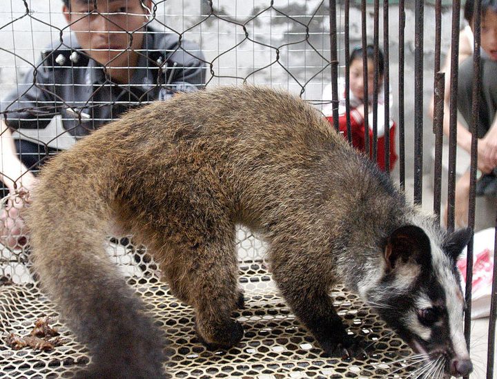 Why Did the Coronavirus Outbreak Start in China? – The New York Times