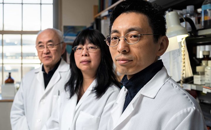 Ancient Chinese medicine unlocks new possibilities for cancer treatment – Yale News
