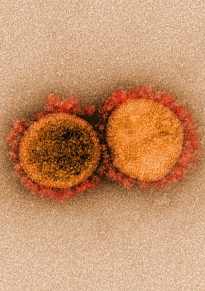 Blood from people who recover from coronavirus could provide a treatment – The Washington Post