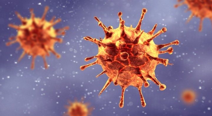 Coronavirus: Your one-stop blog for food industry updates – FoodNavigator.com