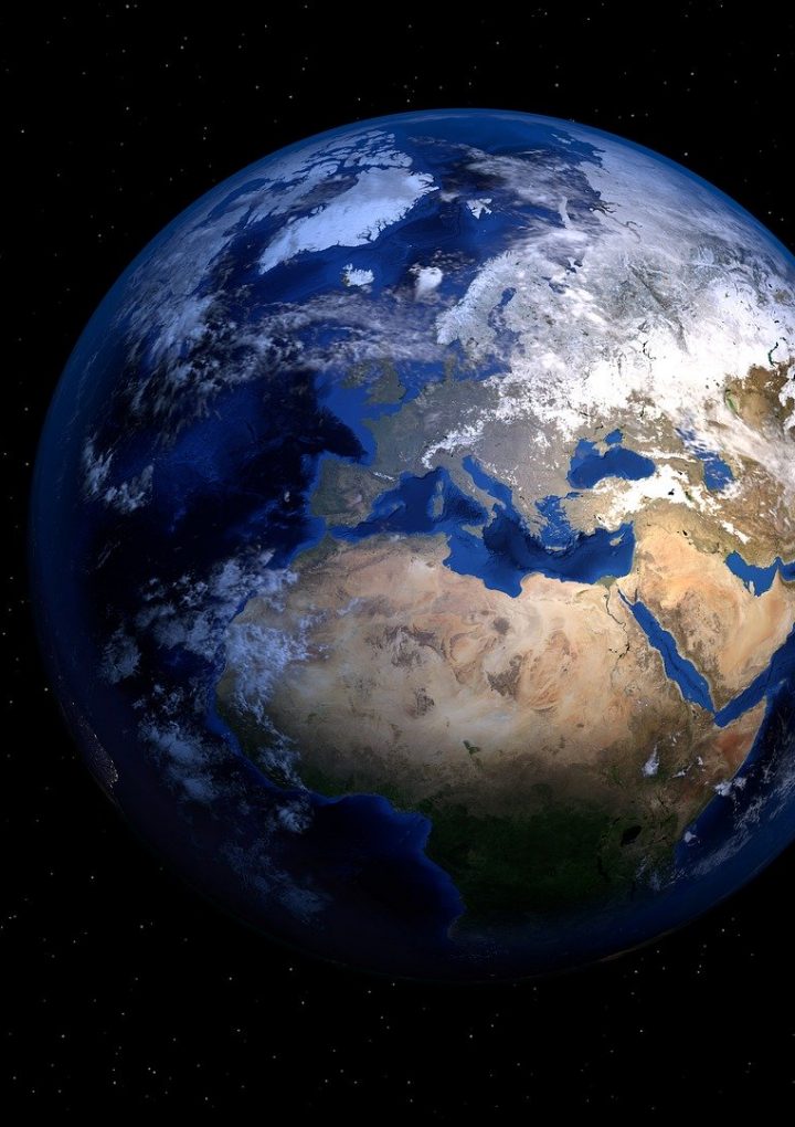 How Healthy are Plant-Based Options at Fast Food Chains? – One Green Planet