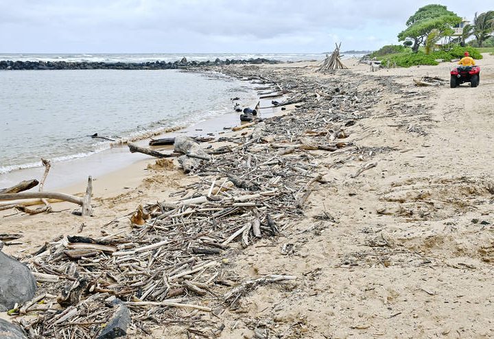 More COVID-19 rules ‘likely’ – Thegardenisland.com