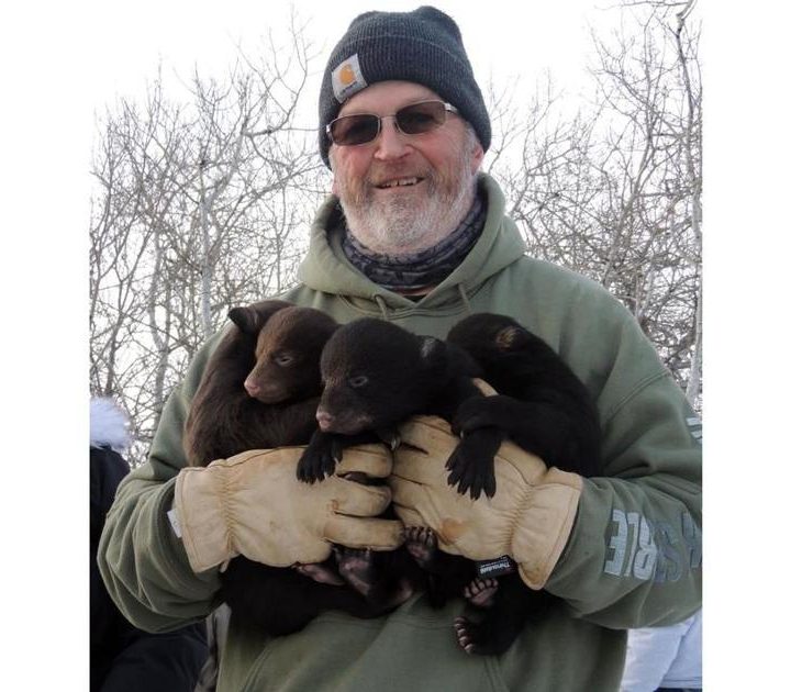 Participating in Minnesota bear study an opportunity of a lifetime – PostBulletin.com