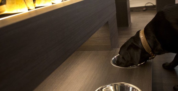 PetSmart Hit With Class Action Over ‘Natural’ Pet Food Labels – Bloomberg Law
