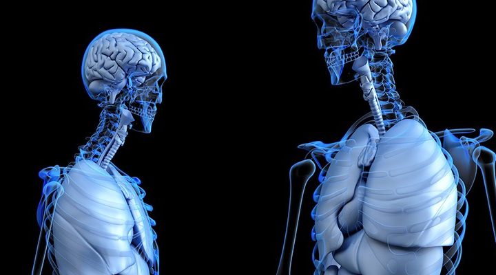 Rajya Sabha discusses two bills to promote AYUSH – Devdiscourse