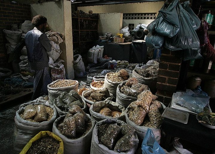 Traditional healer suggests integrative medicine to check pandemicNigeria – Guardian