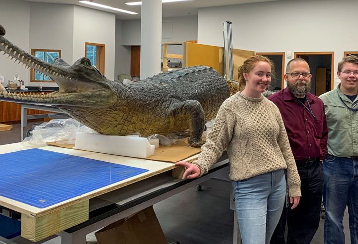 Week at the Museum – Ohio Wesleyan University