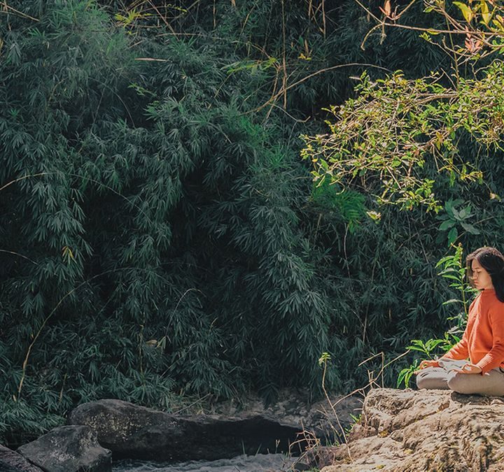 9 Ways to Boost Your Body’s Natural Defenses – EcoWatch