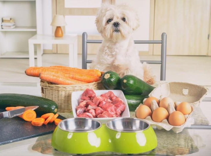 Best Report on Natural and Organic Pet Food Market By Growth, – openPR