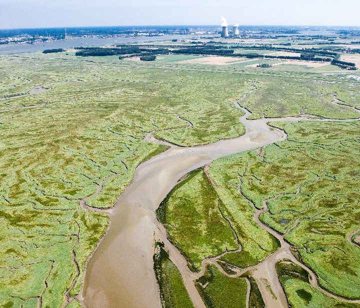 Finding Natural Solutions to Man-Made Problems in River Deltas – Eos