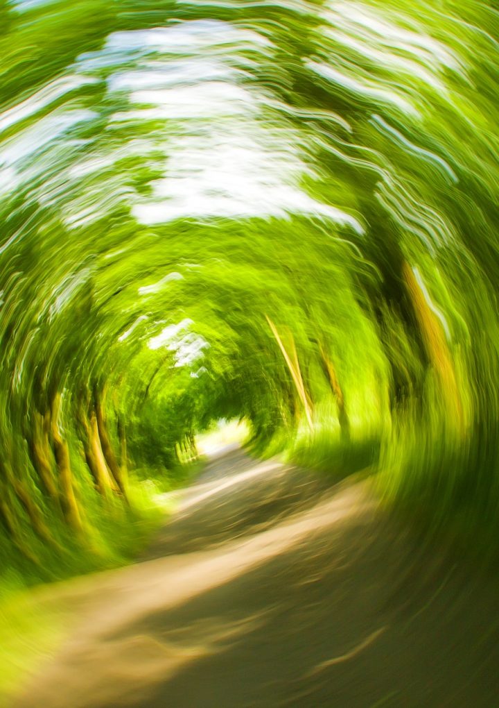 How Plant-Based Foods Can Help With Nausea and Lightheadedness – One Green Planet