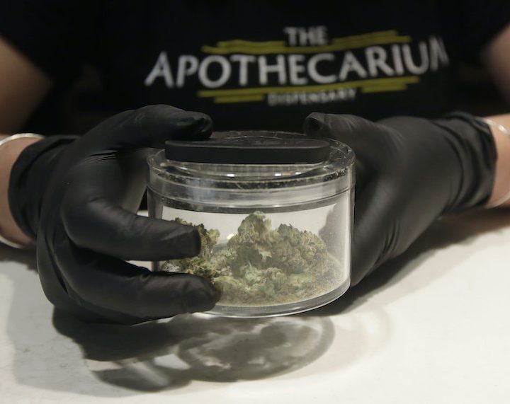 I grew up in an underground cannabis bakery during the AIDS epidemic. Yes, it is essential medicine – Salon