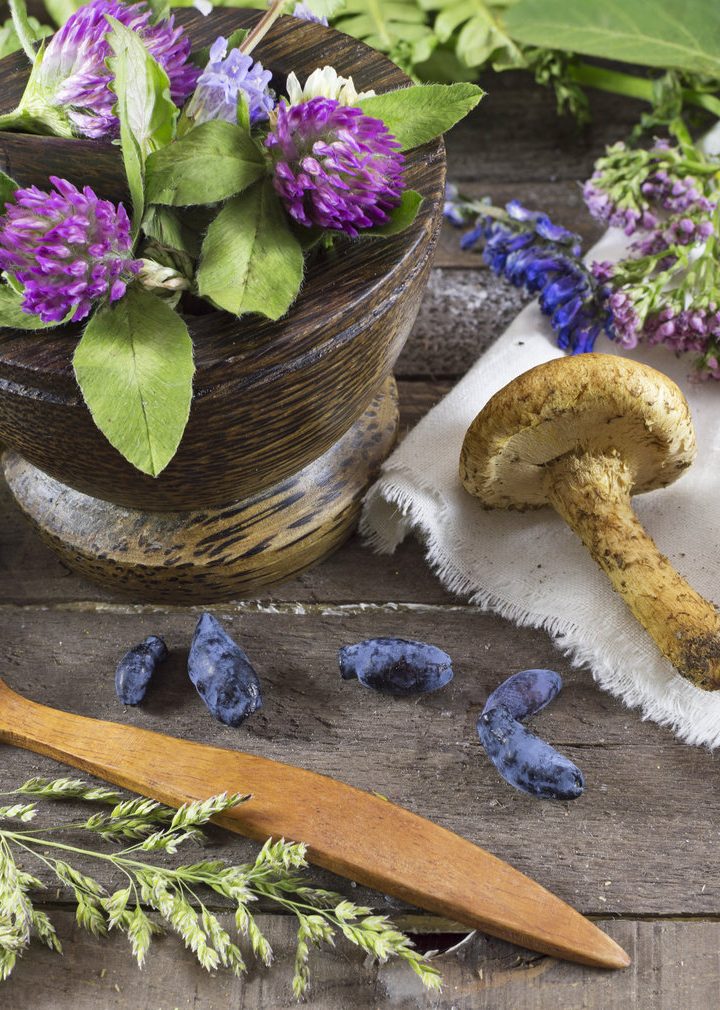 Integrated approaches to Western and Eastern medicine – taosnews