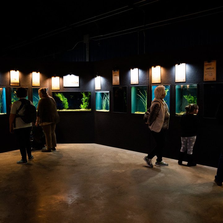 Medicine Park Aquarium to re-open May 1 – KFOR Oklahoma City
