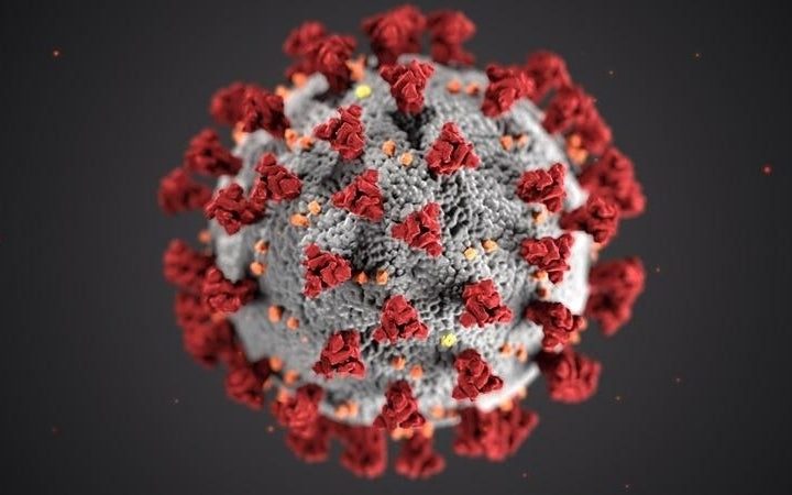 Novel Coronavirus Could Have Entered and Evolved in Humans Much Before Outbreak in Wuhan: Study – The Weather Channel