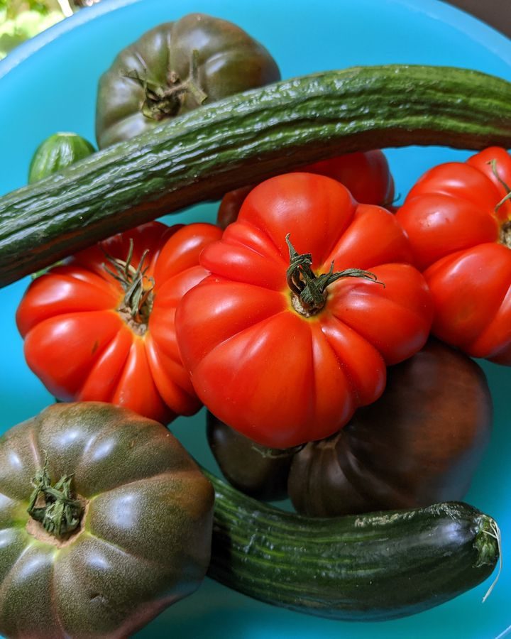 NYC Grocery Delivery: A Guide to Food Shopping During Coronavirus – Eater NY