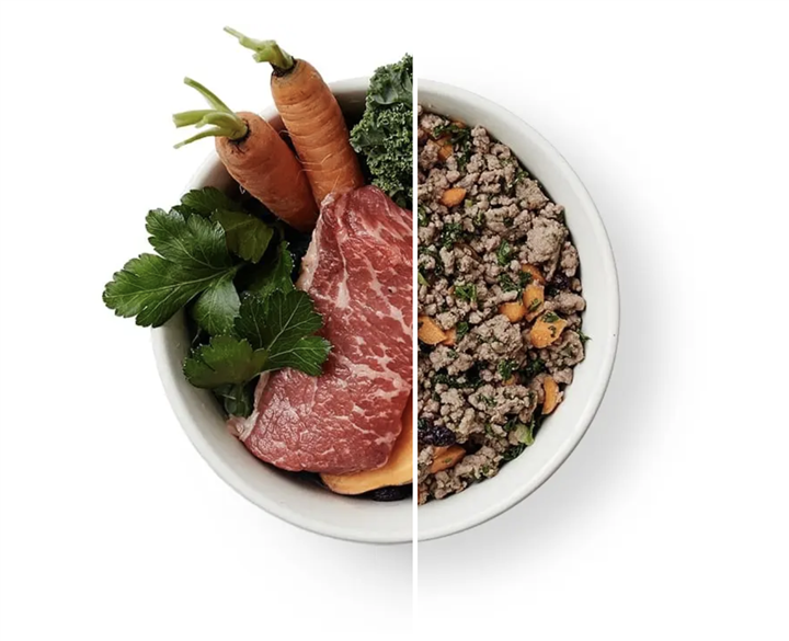 The best dog food, according to experts and veterinarians – NBC News