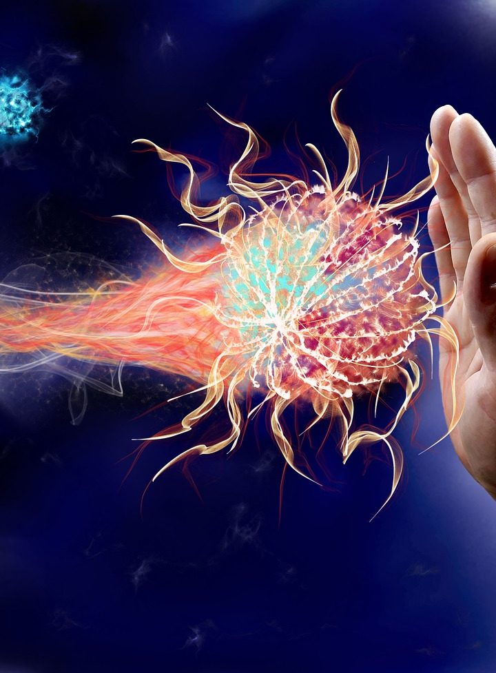 Top Plant-Based Foods and Herbal Products to Support and Boost Your Immune System Daily – One Green Planet