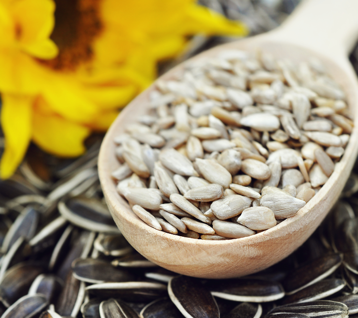 Using Food Waste to Develop Sustainable Plant-Based Ingredients – AZoCleantech
